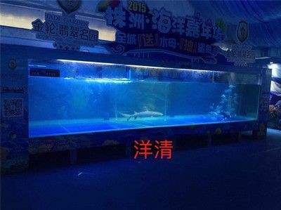 海洋魚(yú)缸展出租服務(wù)公司提供海洋生物魚(yú)缸展出租服務(wù)：提供海洋魚(yú)缸展出租服務(wù)的公司