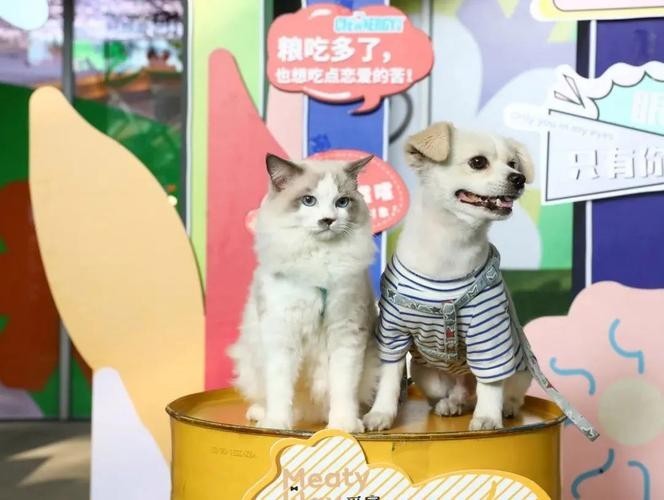 華晨寵物水族展