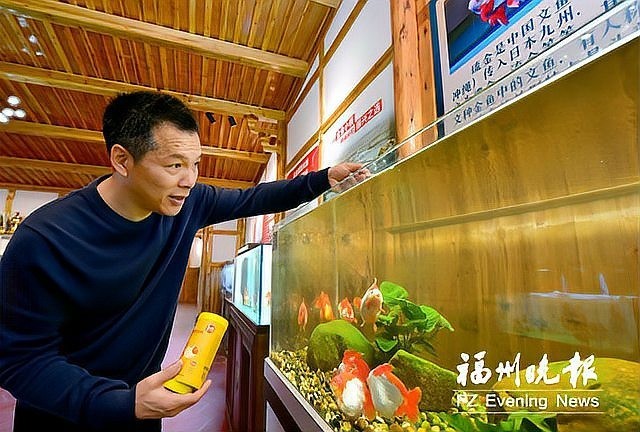 如何聯(lián)系福州市金魚行業(yè)協(xié)會？