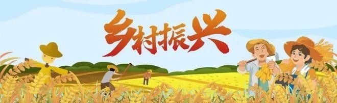 如何聯(lián)系福州市金魚行業(yè)協(xié)會？