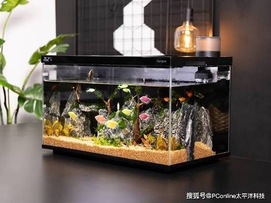 當(dāng)貝智能魚缸1ultra：當(dāng)貝智能魚缸1ultra燈光模式對(duì)比，智能魚缸1ultra用戶評(píng)價(jià)匯總