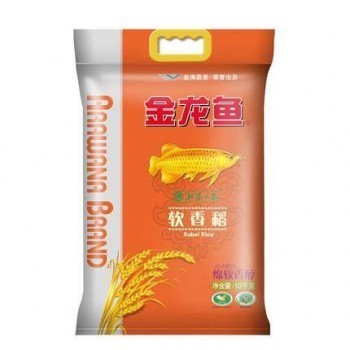 銀龍魚和白金龍魚的區別是什么（銀龍魚和白金龍魚的區別是什么呢）