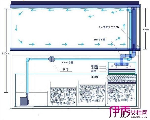 底濾魚缸的維護與保養技巧：底濾魚缸的工作原理主要包括以下幾個步驟包括以下幾個步驟