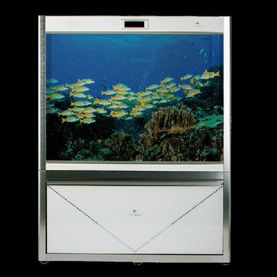 可麗愛魚缸型號與價格（可麗愛魚缸型號與價格,材質(zhì)與工藝,型號系列）