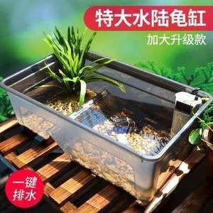 魚缸寵物螃蟹：養殖魚缸寵物螃蟹需要注意哪些問題