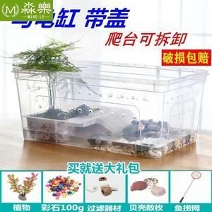 魚缸寵物螃蟹：養殖魚缸寵物螃蟹需要注意哪些問題