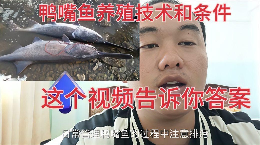 鄭州有哪些花卉市場(chǎng)？：鄭州哪里可以買(mǎi)魚(yú)缸？