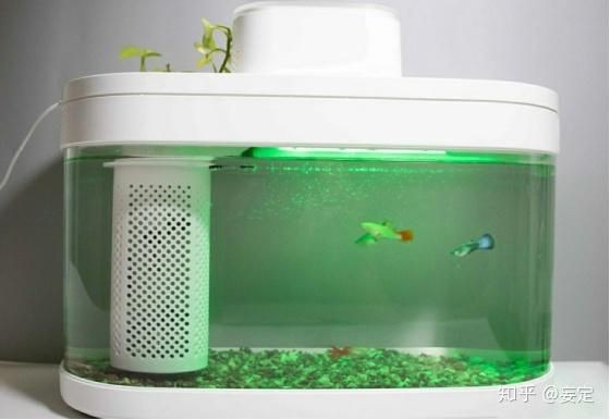 小米魚缸專用加熱棒：小米魚缸專用加熱棒怎么樣