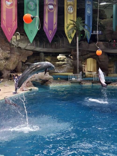 西安水族展覽有哪些特色？