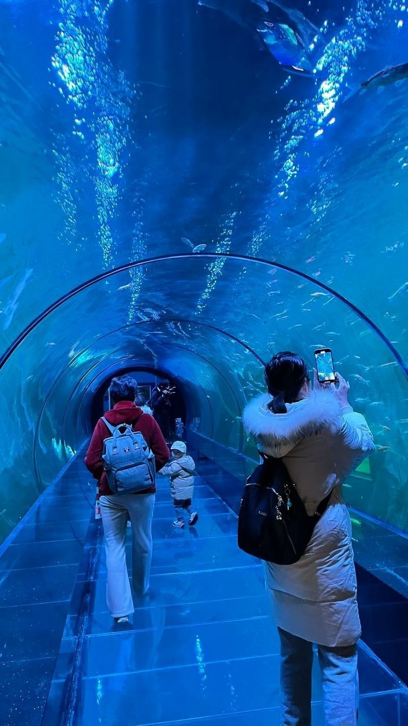 西安水族展覽有哪些特色？