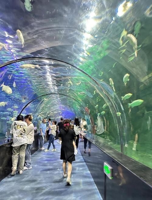 西安水族展覽有哪些特色？