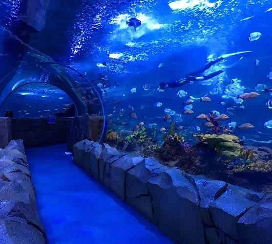 西安水族展覽有哪些特色？