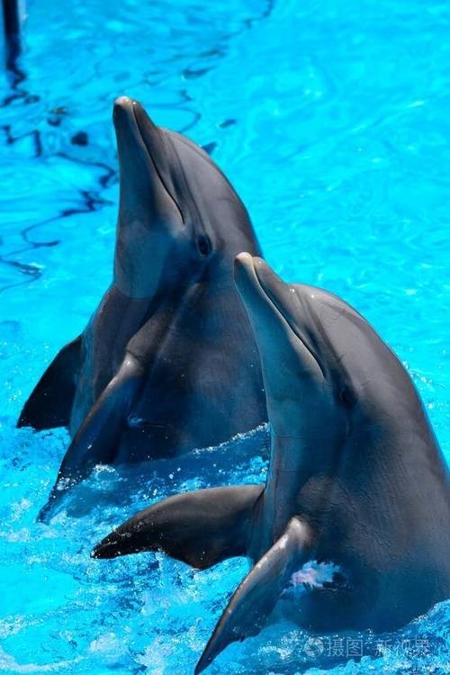 西安水族展覽有哪些特色？
