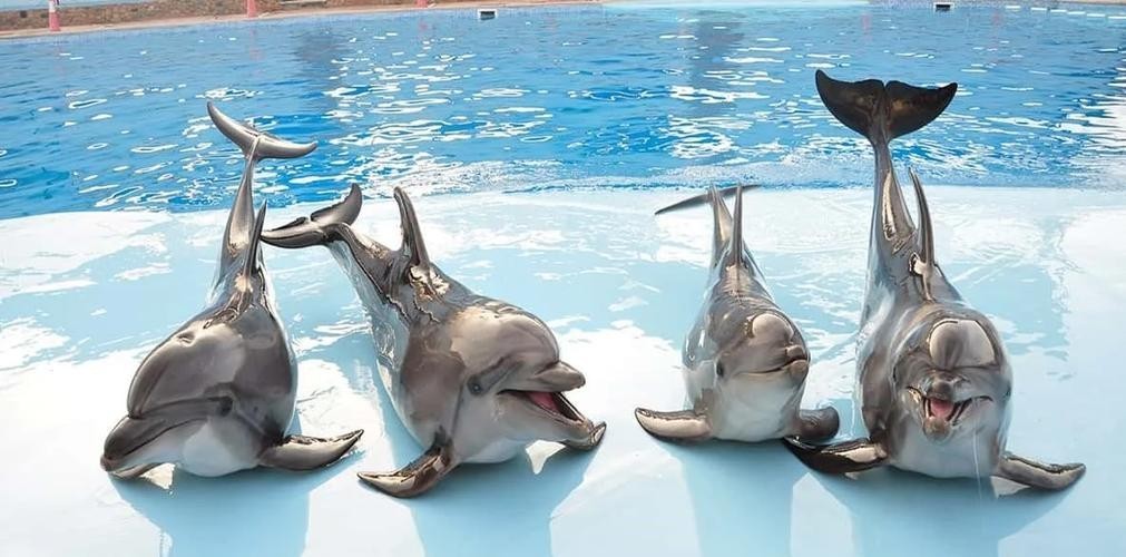 西安水族展覽有哪些特色？