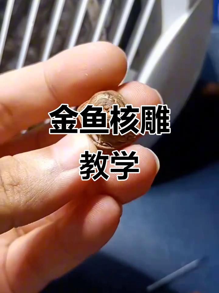 金魚雕刻視頻教程