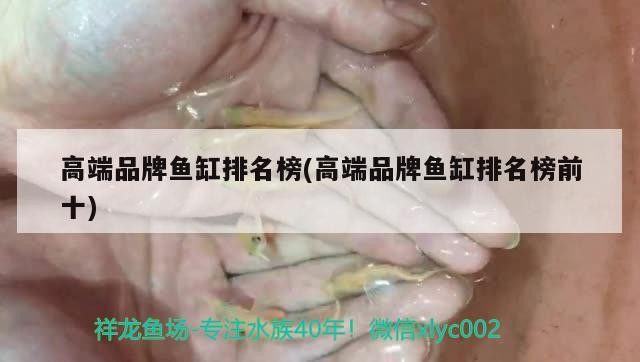 銀龍魚鱗上發(fā)白什么原因造成的（銀龍魚鱗片發(fā)白怎么辦）