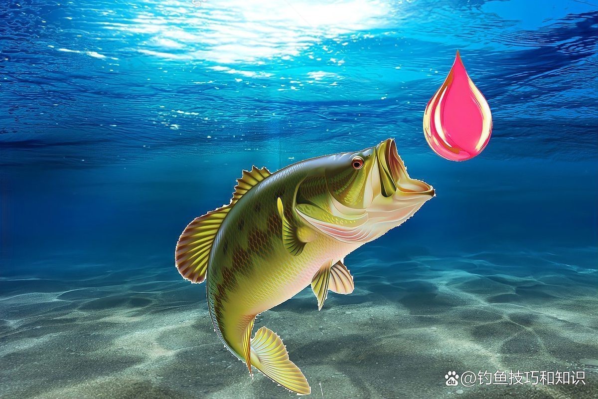 多巴鹽誘魚正確用法視頻
