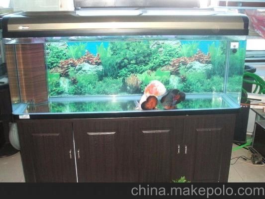 liangcai魚缸，liangcai魚缸品牌推薦liangcai魚缸