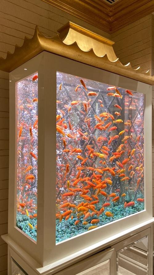 魚缸高清3d壁紙原圖