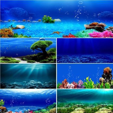魚缸高清3d壁紙原圖