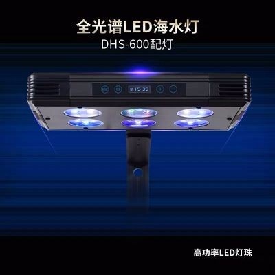 小魚缸燈飾：關于小魚缸燈飾的一些詳細信息