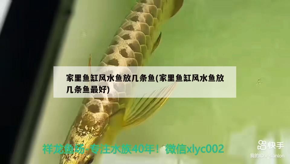 銀龍魚吃小魚么（銀龍魚吃活魚嗎）