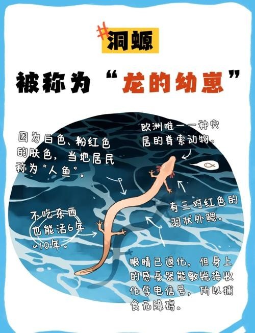 龍魚生長速度圖解