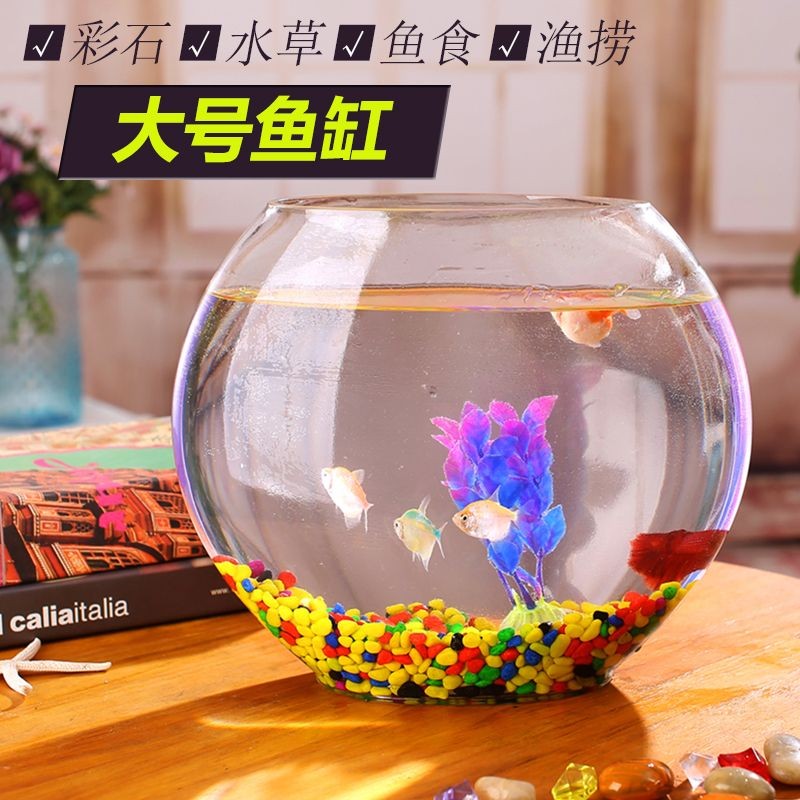 魚缸彩石圖片大全