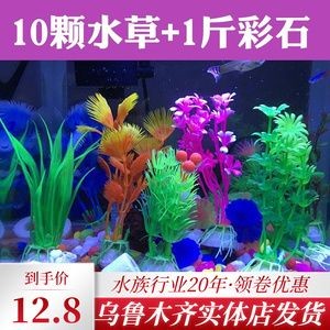 魚缸彩石圖片大全