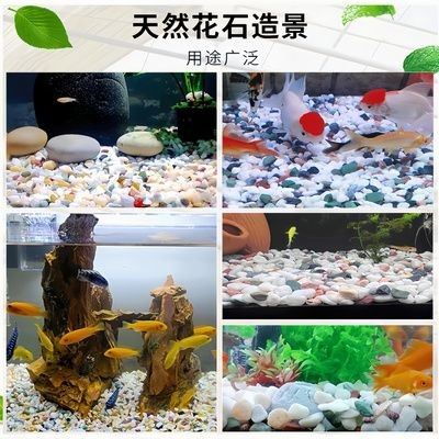 魚缸彩石圖片大全