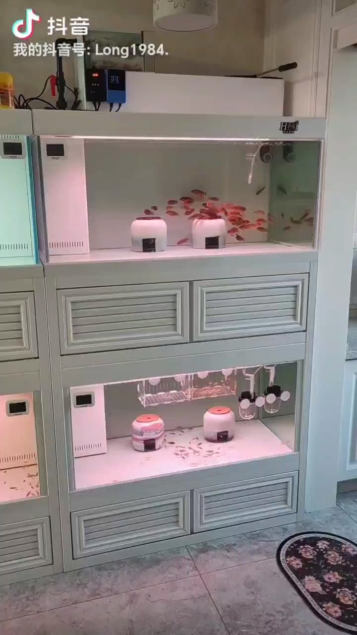 三湖巖溪宏雞