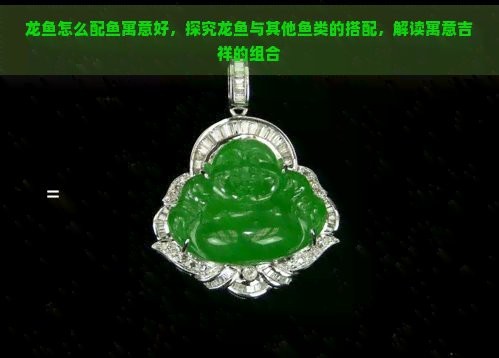翡翠龍魚(yú)是兇魚(yú)還是吉魚(yú)