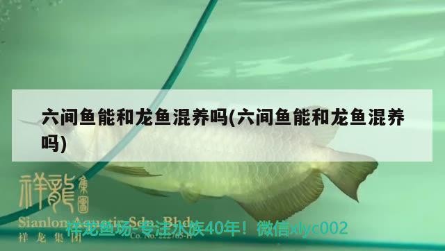 綏化市北林區(qū)澤升源水族店