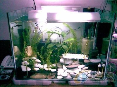 冀州區金木火土水族館（冀州區金木火土水族館地址）