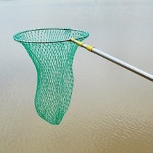 廣州釣魚網