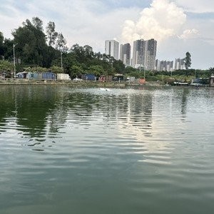廣州釣魚網