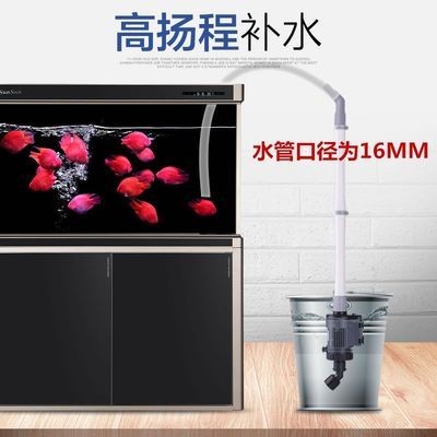 底濾魚缸怎么移動（29篇底濾魚缸移動注意事項底濾魚缸移動方法）