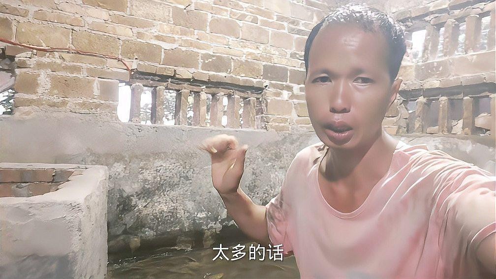 養(yǎng)2000只魚視頻