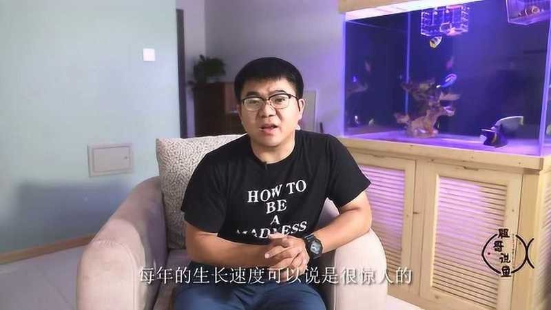 養(yǎng)2000只魚視頻