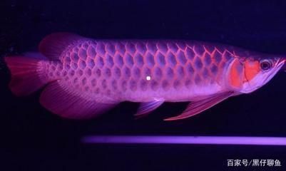 懷來縣沙城活水來海洋世界水族館（懷來縣玩水的地方）