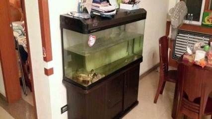 購買帶柜子的魚缸是否違法的信息搜索結果沒有直接提到：購買帶柜子的魚缸是否違法