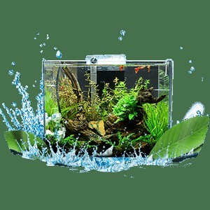 水泵魚缸品牌十大排名