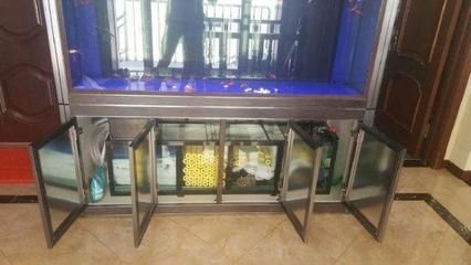 魚缸濾材擺放順序圖：魚缸濾材擺放順序圖詳情