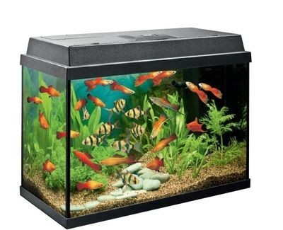 德國黑鉆魚缸的優點：德國黑鉆魚缸是一款高端水族箱