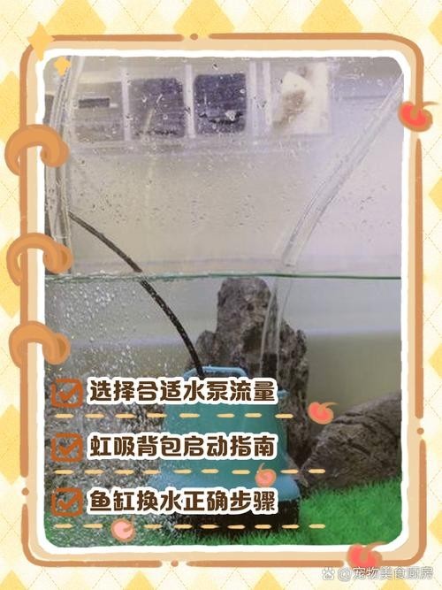如何選擇適合魚缸的水泵？