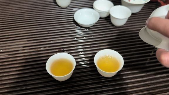 B站上有哪些紅龍魚視頻資源？