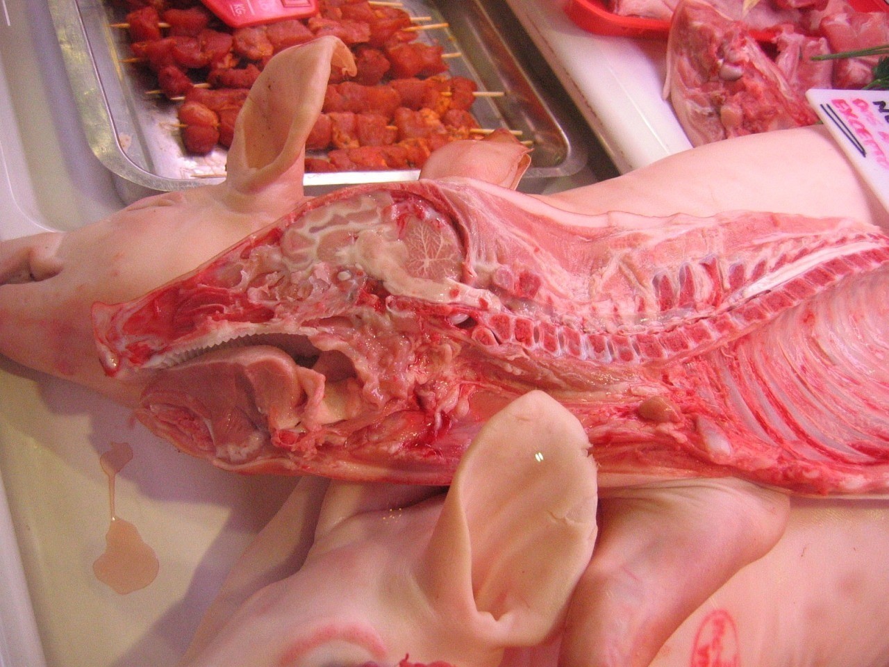 吃魚還是吃藥？！哈爾濱家得樂超市兩門店 鯽魚獸