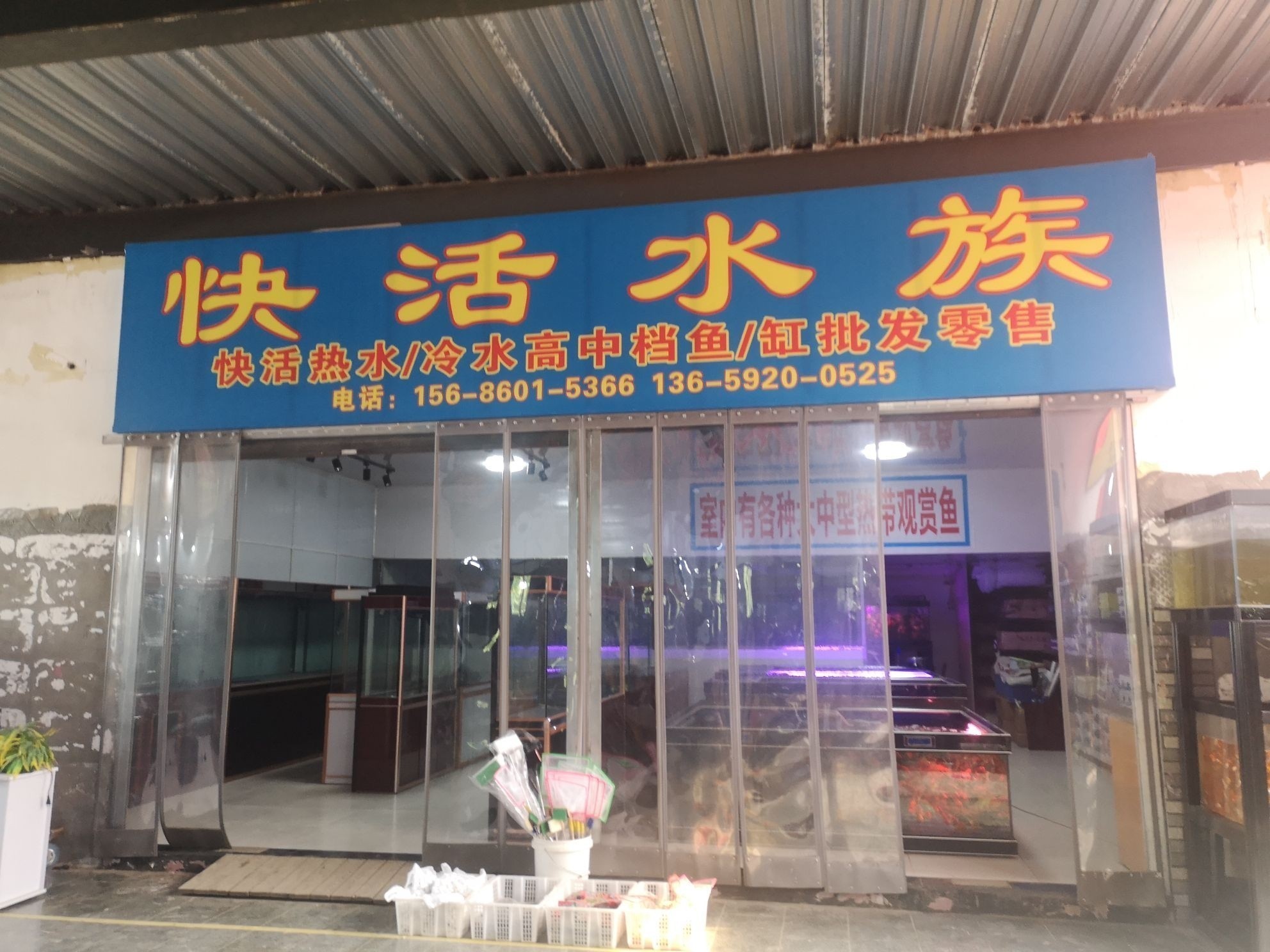 西安有哪些專業(yè)的水族市場(chǎng)？