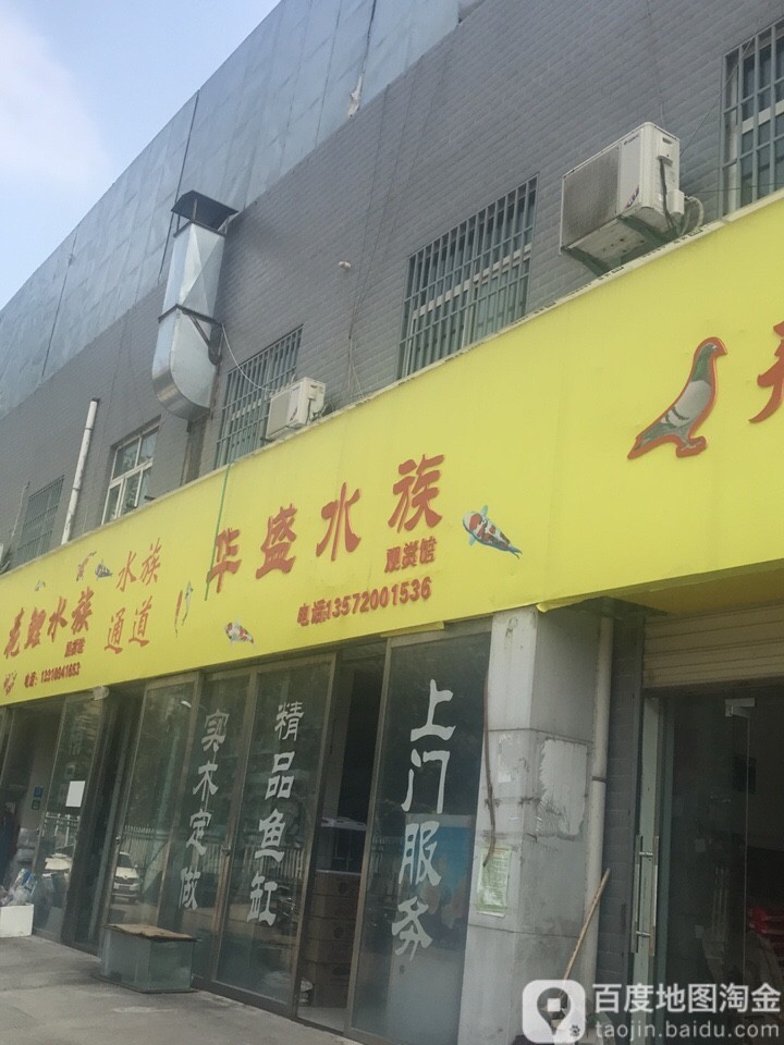 西安有哪些專業(yè)的水族市場(chǎng)？
