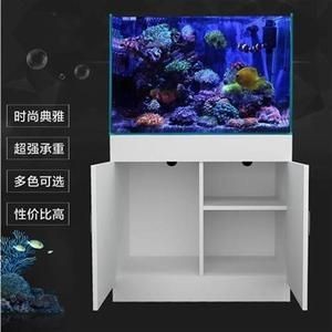 水族批發市場探秘水族批發市場探秘水族批發市場探秘：和天津魚缸批發市場探秘